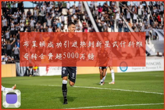 布莱顿成功引进热刺新星武什科维奇转会费超5000万镑